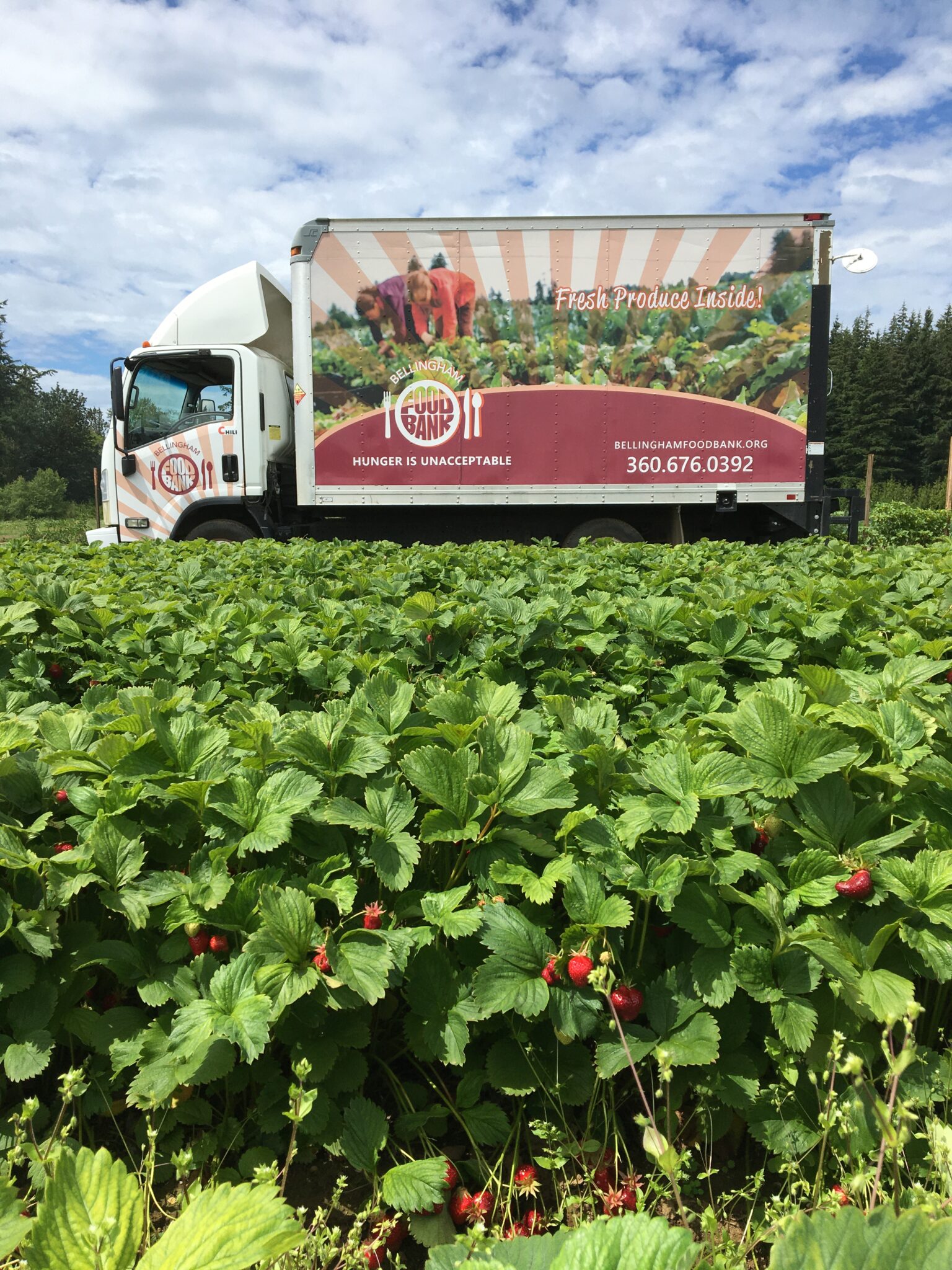 Gleaning Opportunities Bellingham Food Bank
