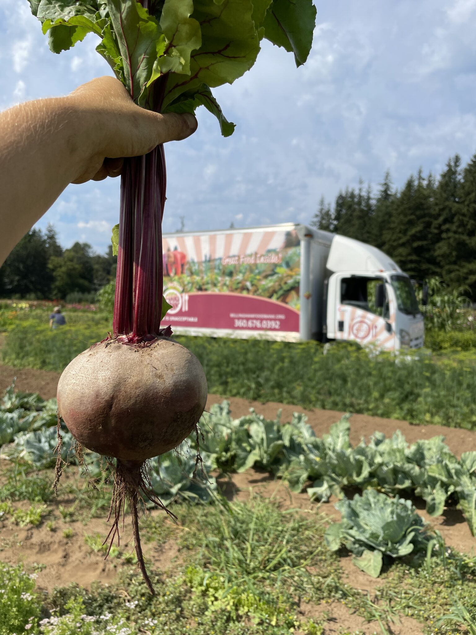 gleaning-opportunities-bellingham-food-bank