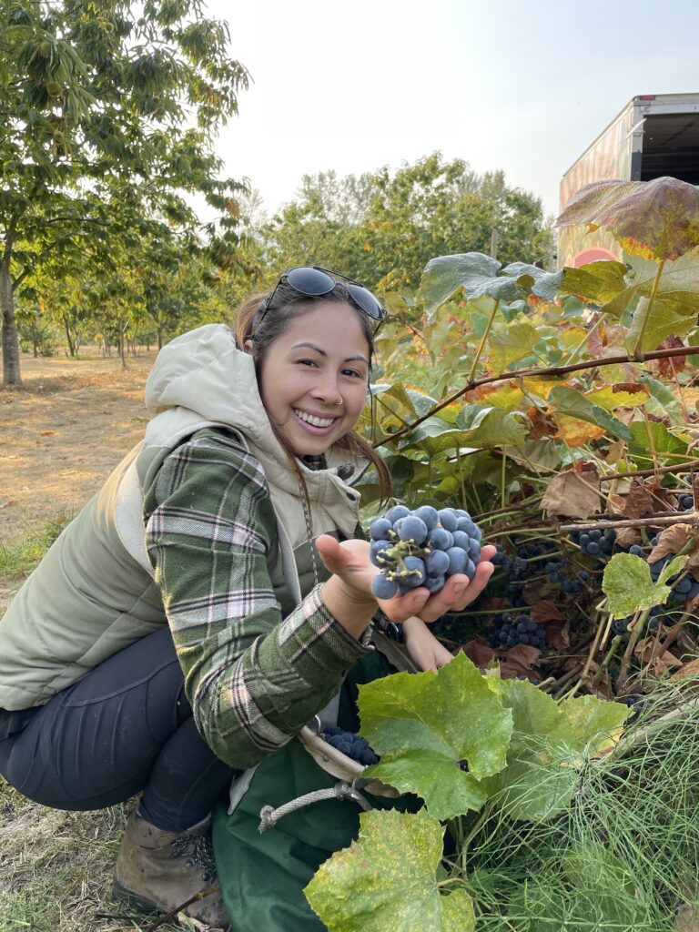 Potato Gleaning Community Service Opportunity