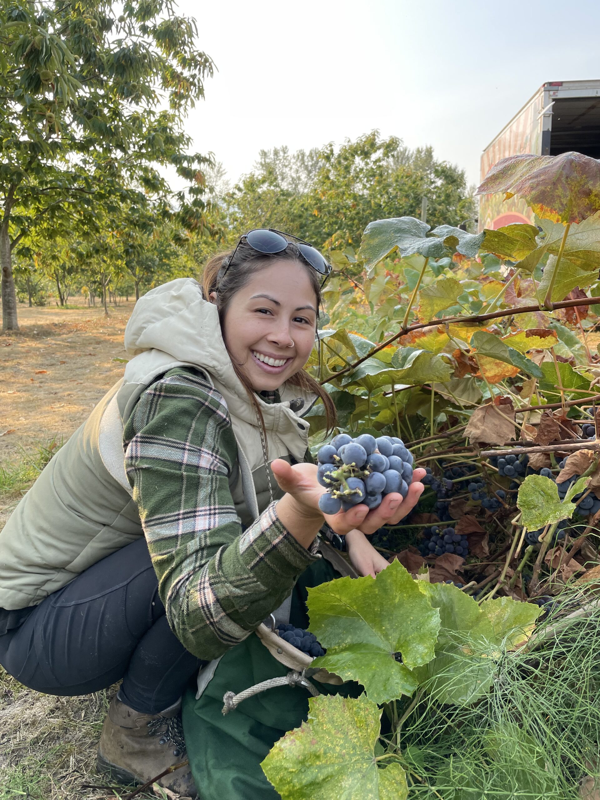 Gleaning - Bellingham Food Bank