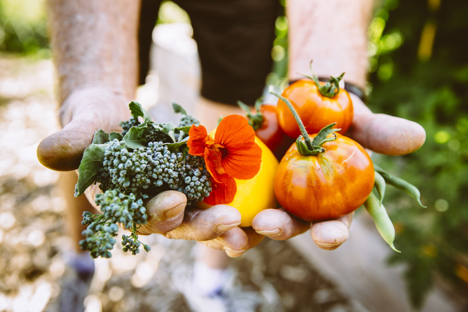Home - Bellingham Food Bank